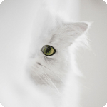 aaa (150x150, 30Kb)