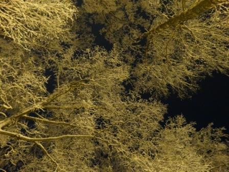 2014-02-19 02-00-50 (448x336, 220Kb)