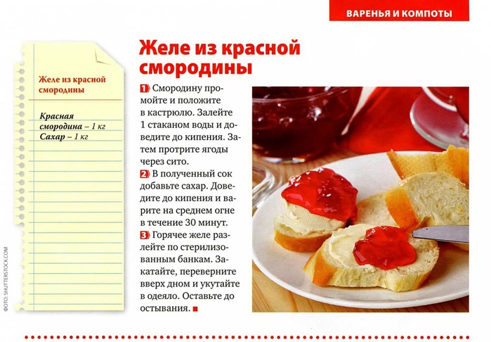 Технологическая карта желе из красной смородины