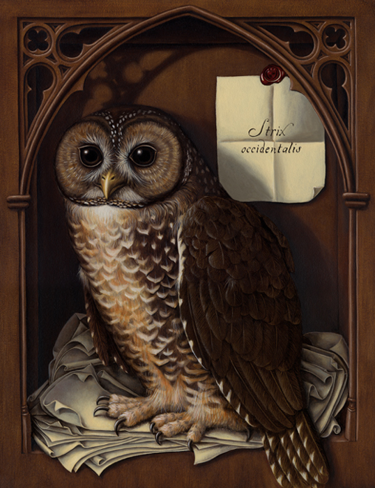 4776467_spotted_owl_cabinet (538x700, 305Kb)