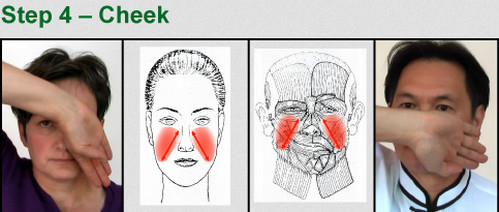 Facial Detox Massage4 (499x212, 86Kb)