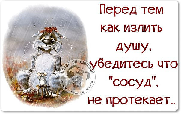 Излить душу. Перед тем как излить душу убедитесь. Перед тем как излить душу убедись что сосуд не протекает. Перед тем излить душу убедитесь что сосуд. Излить душу цитаты.