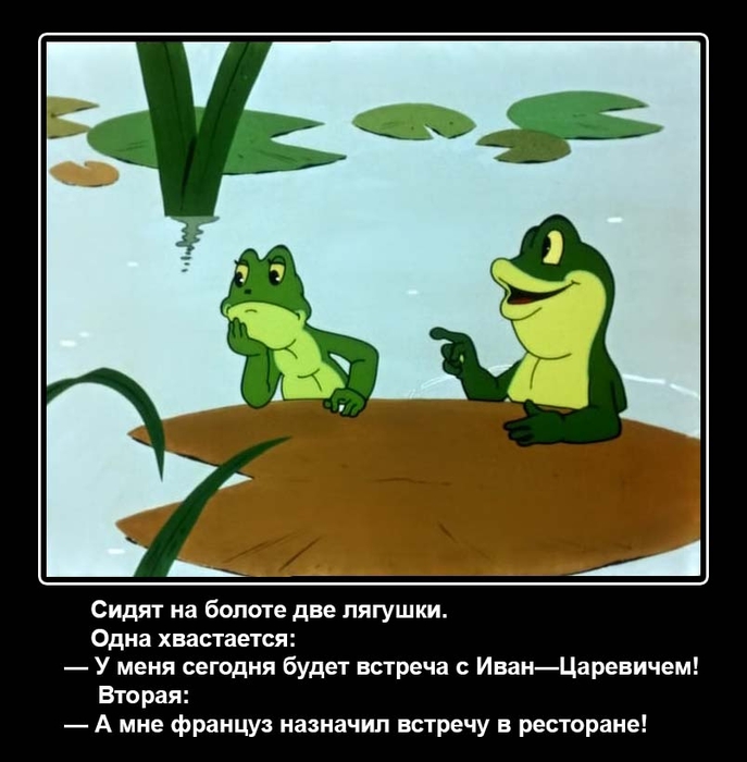 Днем семьи, приколы про лягушку картинки