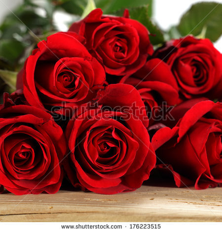 stock-photo-red-flowers-176223515 (450x470, 203Kb)