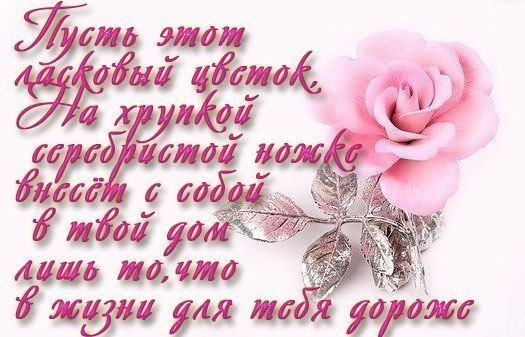 скачанные файлы (525x337, 201Kb)