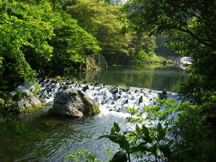 Cheonjiyeon waterfall3 (700x525, 159Kb)