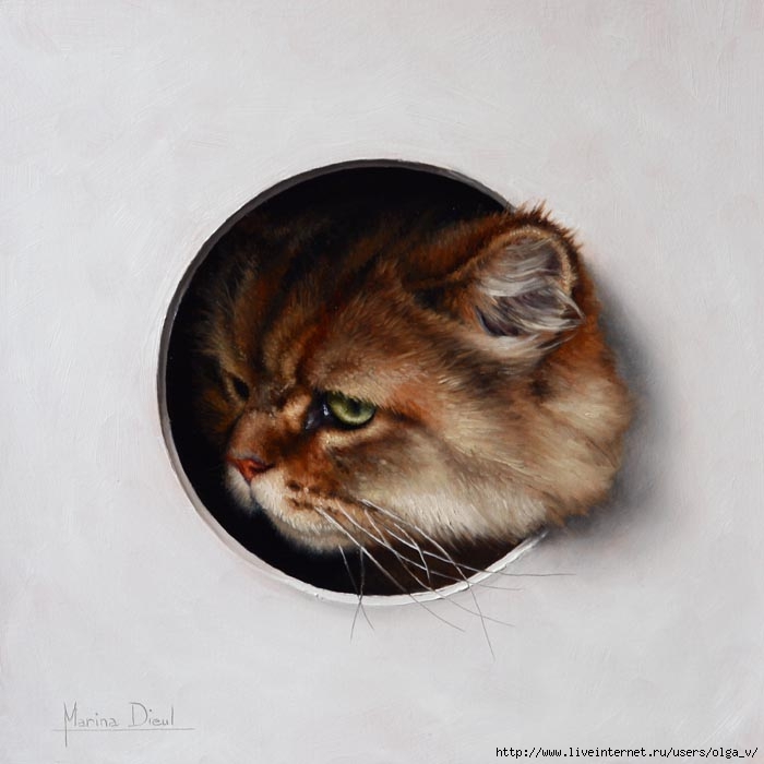 Marina-Dieul_Chat-III_8x8_oil_web (700x700, 150Kb)