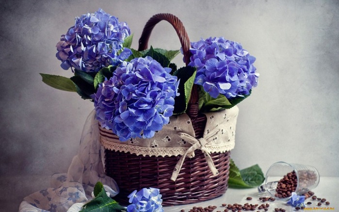 flowers_in_basket_08 (700x437, 98Kb)