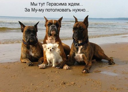 4523253_Bt63gbx5jks (445x318, 35Kb)