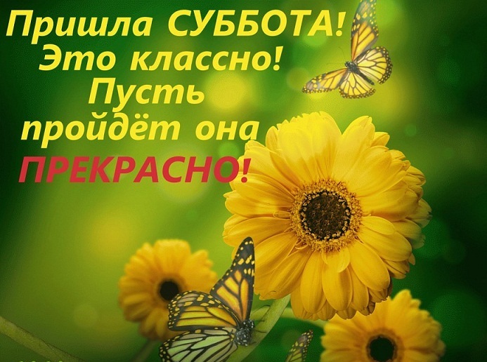 http://img1.liveinternet.ru/images/attach/c/0/119/904/119904041_getImage__4_.jpg