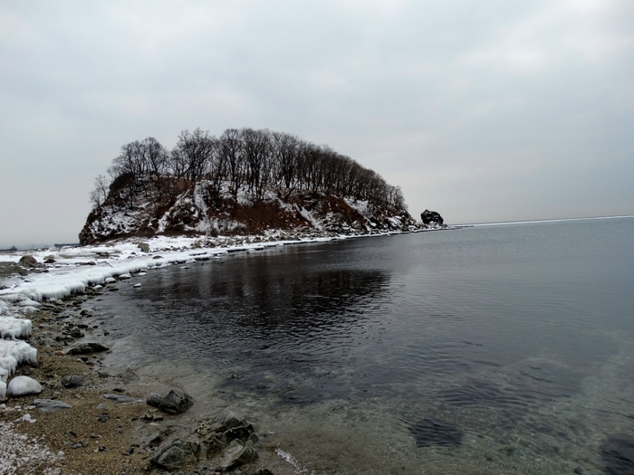 5559494_DSC08173 (700x525, 235Kb)