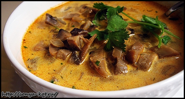 hungarian-mushroom-soup (612x327, 202Kb)