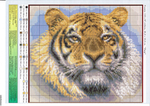  tigr-4-1 (700x494, 498Kb)