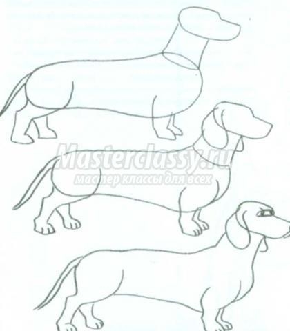 Как нарисовать собаку карандашом поэтапно?