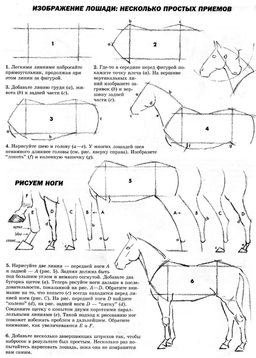 Схема рисования лошади
