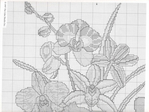  300893-a9035-66213666-m750x740-ub1df0 (700x525, 283Kb)