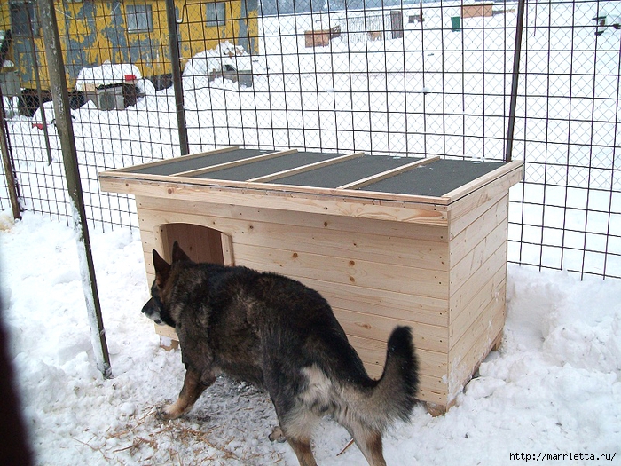 Чертежи будки для собаки с размерами: 90 фото, как сделать своими руками среднюю конуру для овчарки