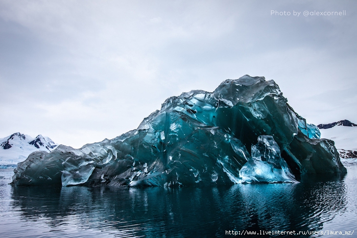 alexcornell-antarctica-3 (700x466, 248Kb)