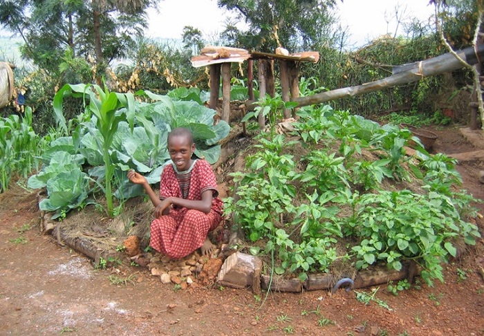 4920201_African_Gardens_Rwanda_keyhole_garden_Rose (700x486, 204Kb)