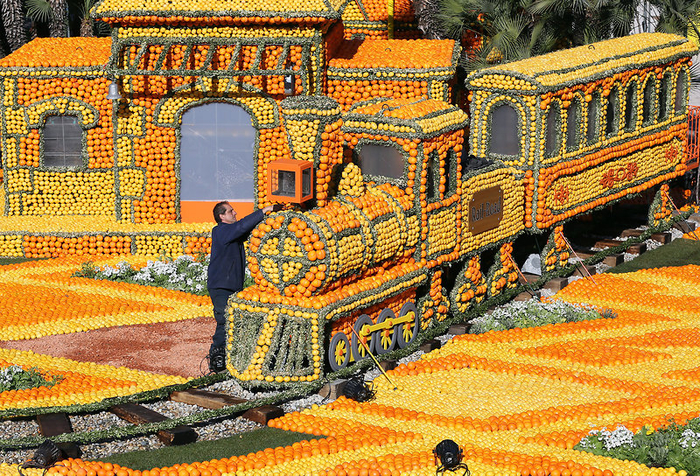 фестиваль лимонов7 (700x476, 752Kb)