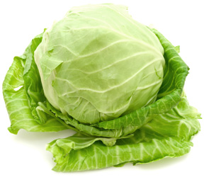 cabbage (288x250, 28Kb)