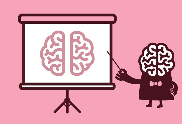 content_what-we-know-brain (700x476, 48Kb)