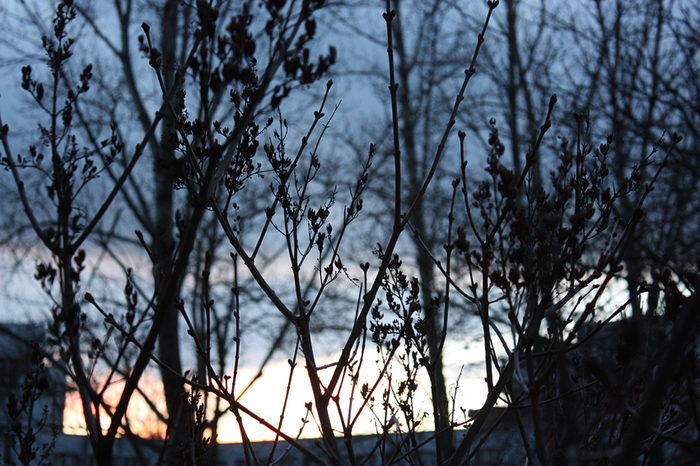 4052195_IMG_0522 (700x466, 442Kb)