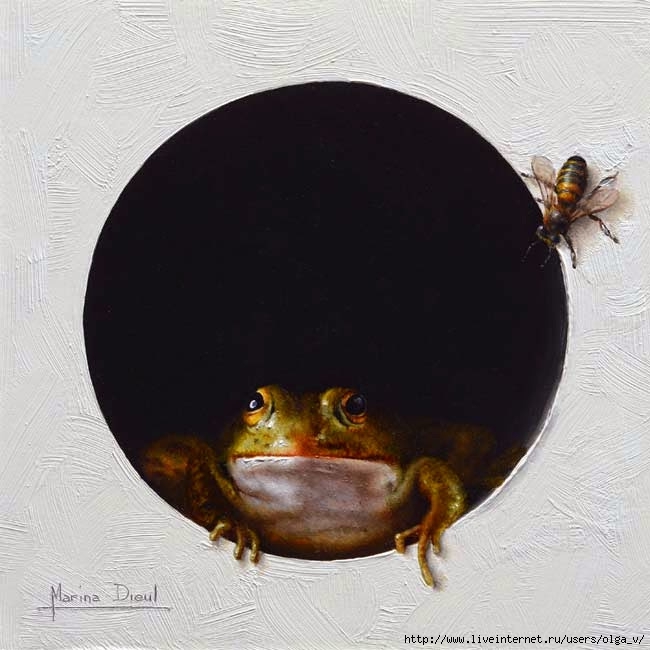 Marina Dieul_Grenouille 4_Oil_6x6_web (650x650, 156Kb)