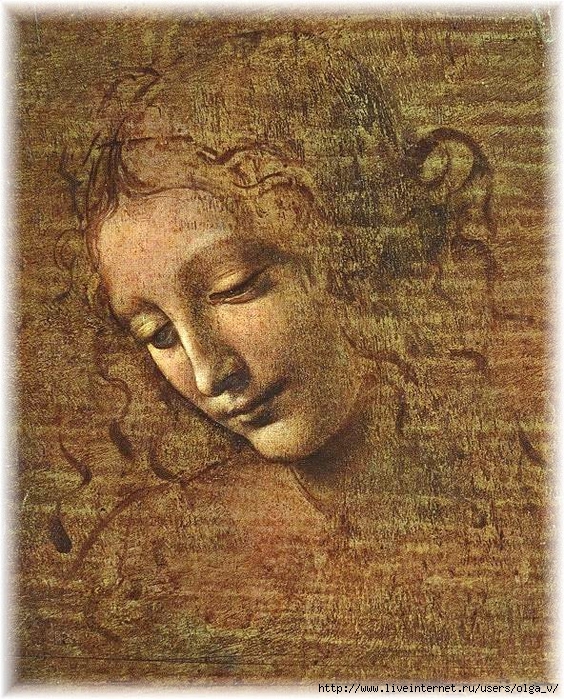 da Vinci study (564x700, 474Kb)