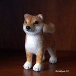  Shiba-inu2 (699x700, 437Kb)