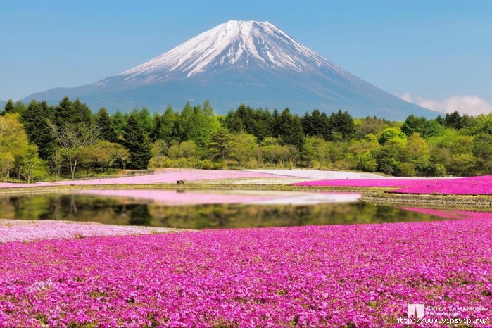 5745884_Park_Hicyjiyama_Yaponiya (700x466, 280Kb)