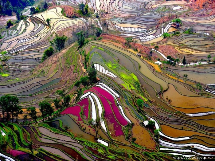 5745884_Uanyan_Kitai (700x524, 389Kb)