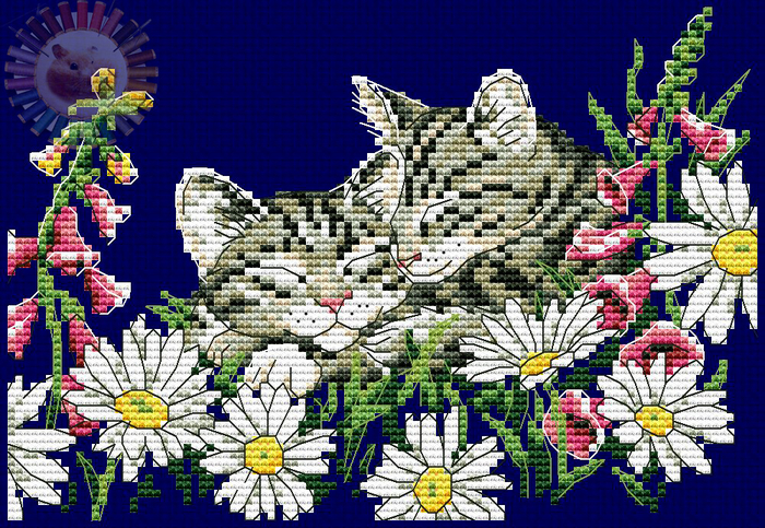 Kitten In Spring (700x483, 542Kb)