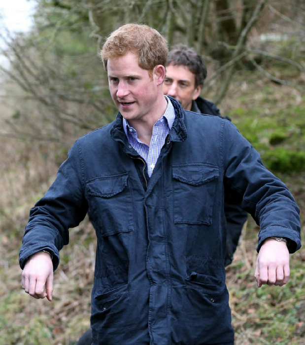 prince-harry-25feb15-05 (619x700, 455Kb)