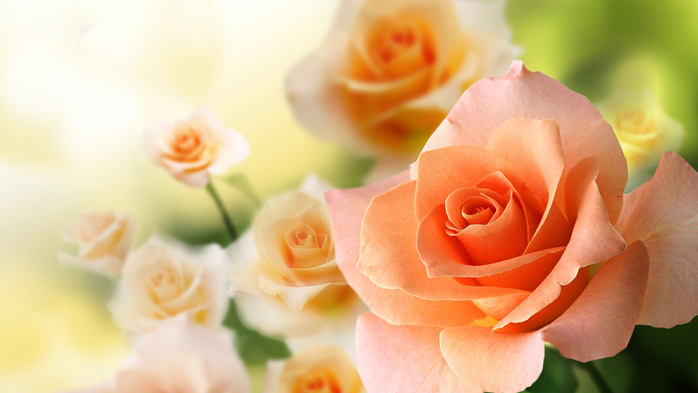 445920185 (700x393, 254Kb)