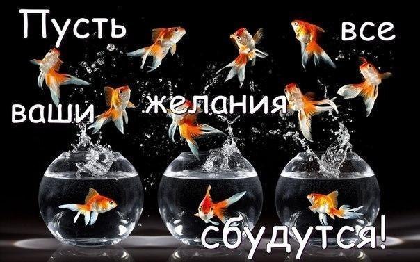 4882357_IRfSqo3DcSU (604x377, 60Kb)