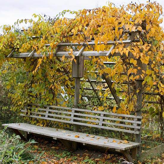 5717539_GartenimHerbstkiwirebenkletterpflanzebankholzgitter (550x550, 94Kb)