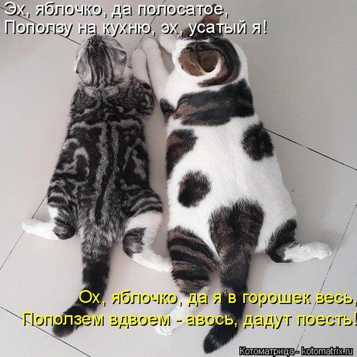 Приколы про конец рабочего дня в картинках с надписями