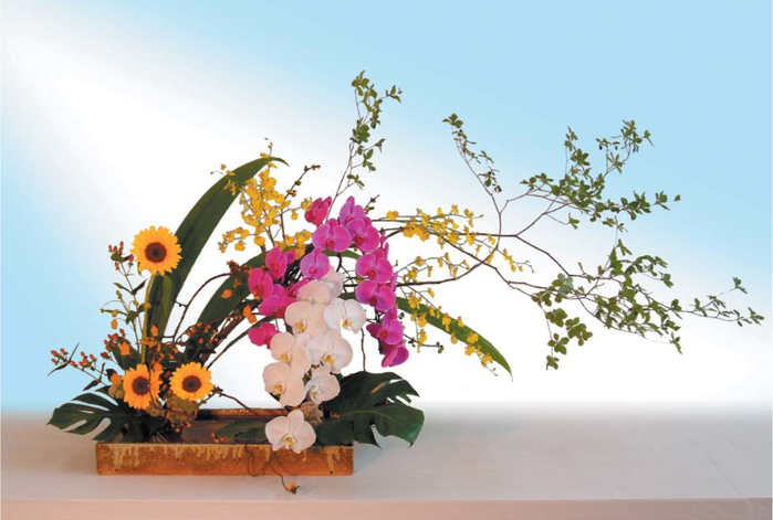 TRIPTICOExposiciondeIkebana_1 (700x471, 261Kb)