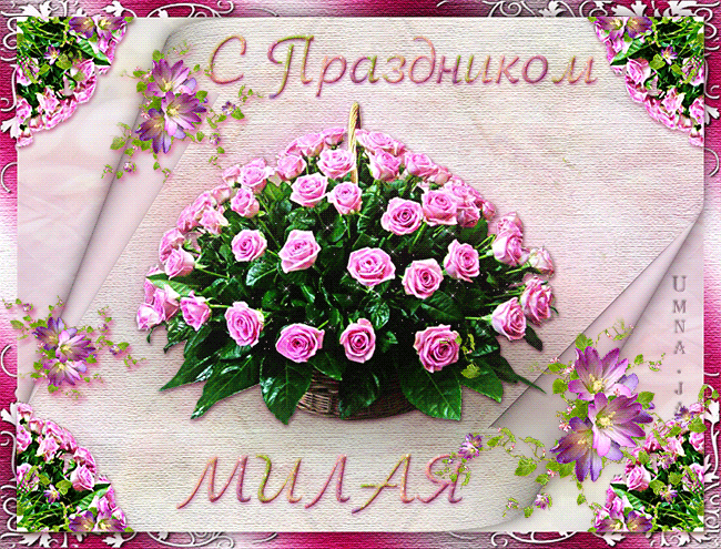 default (650x495, 311Kb)