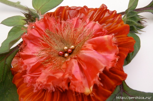 orange-flower (500x330, 149Kb)