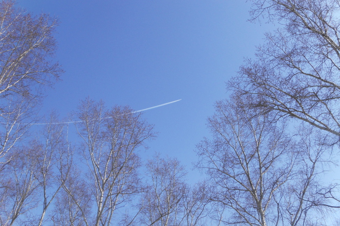 SDC12039 (700x466, 222Kb)