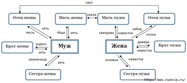 Не слишком близкородственные браки наиболее выгодны для размножения