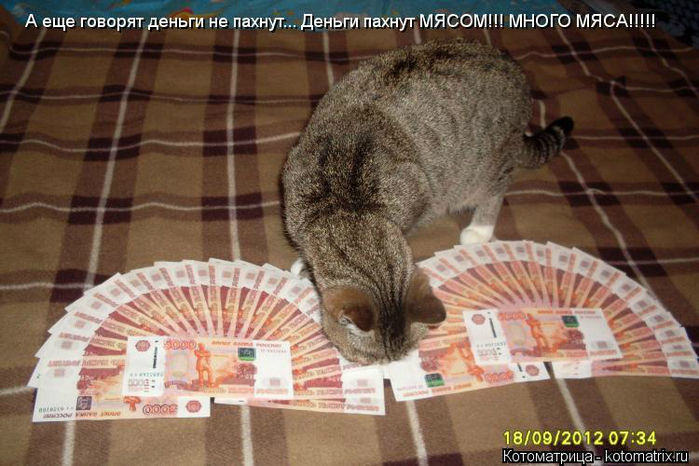 Не платить деньгу. Деньги пахнут. Кот с деньгами. Деньги не пахнут. Денег кот наплакал.
