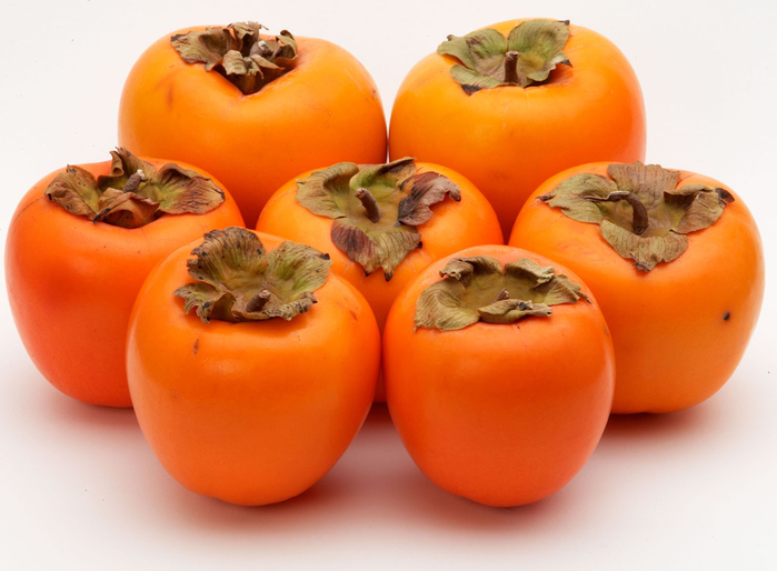 persimmon_02 (700x514, 319Kb)