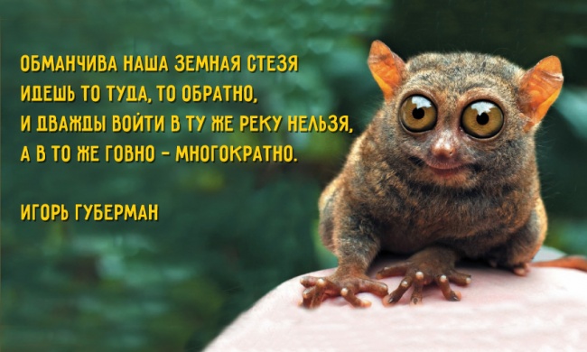 4803300_preview650x3906501426503103 (650x390, 93Kb)