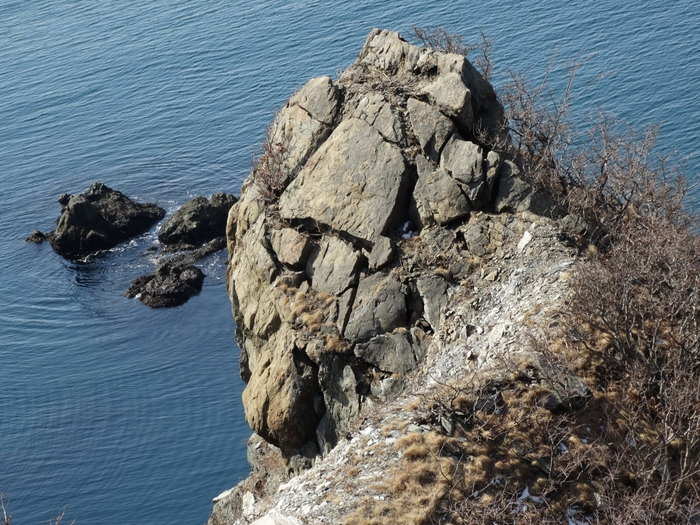 5559494_DSC09396 (700x525, 354Kb)