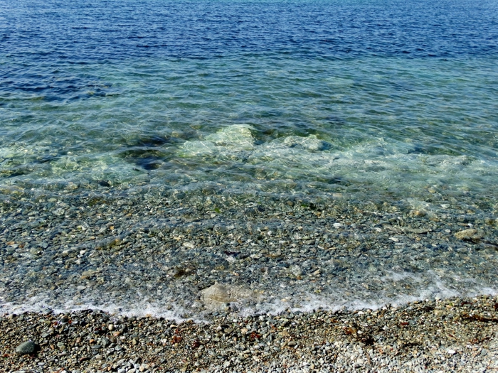 5559494_DSC09558 (700x525, 394Kb)