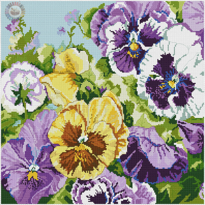 Glorious Pansies (700x700, 904Kb)