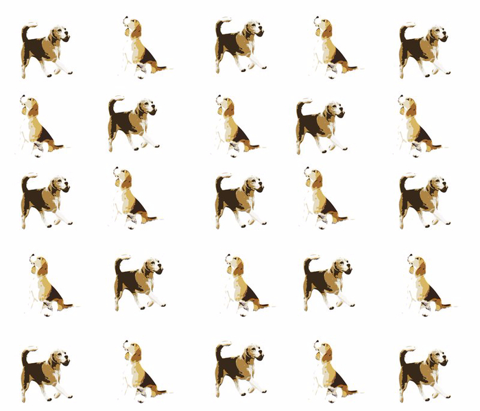 rBeagle_repeat_shop_overlay_zoom (700x599, 238Kb)